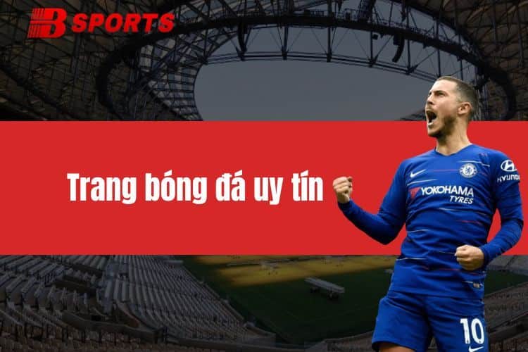 Trang Bóng Đá Uy Tín Hiện Nay – Cập Nhật Tin Tức Chất Lượng